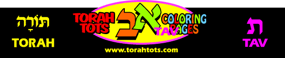 torah top