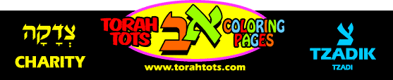 tzedaka top