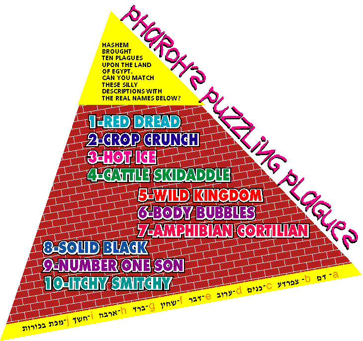 Pesach Puzzling Plagues