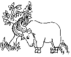 Ram