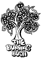 Burning Bush
