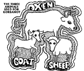 Korban Animals
